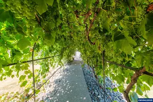 2225 Molalla Rd NE, Woodburn, OR 97071 - Photo 6