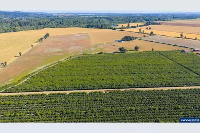 37225 Jefferson Scio Dr, Scio, OR 97374 - Photo 10