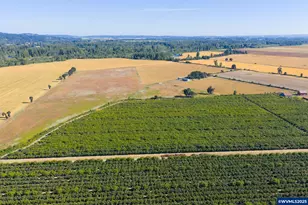 37225 Jefferson-Scio Dr, Scio, OR 97374 - Photo 10