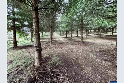 Lot 910 Everett Dr S, Salem, OR 97306 - Photo 24
