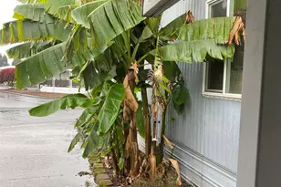 2232 42nd Ave SE, Salem, OR 97317 - Photo 22