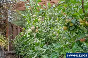 2872 23rd Ave NW, Albany, OR 97321 - Photo 50