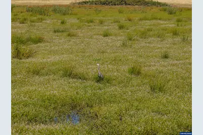 Lot 5332 Duck Club Ct, Scappoose, OR 97056 - Photo 18