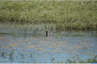 Lot 5332 Duck Club Ct, Scappoose, OR 97056 - Photo 26