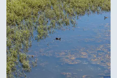 Lot 5332 Duck Club Ct, Scappoose, OR 97056 - Photo 24