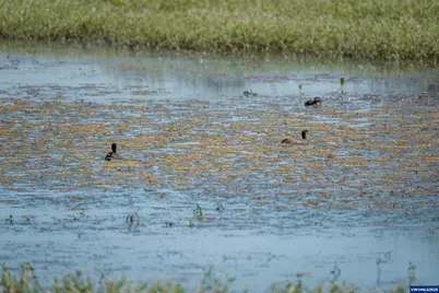 Lot 5332 Duck Club Ct, Scappoose, OR 97056 - Photo 22