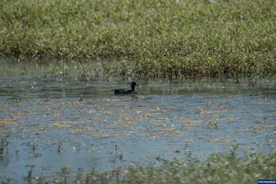 Lot 5332 Duck Club Ct, Scappoose, OR 97056 - Photo 28
