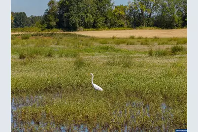 Lot 5332 Duck Club Ct, Scappoose, OR 97056 - Photo 20