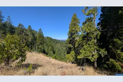 900 Old Cabin Dr, Glide, OR 97443 - Photo 4