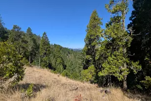 900 Old Cabin Dr, Glide, OR 97443 - Photo 4