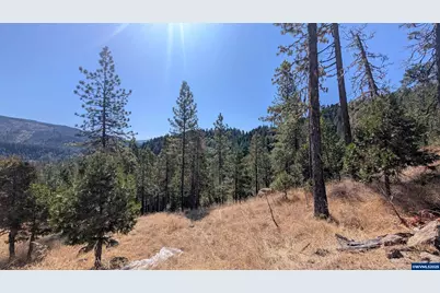 900 Old Cabin Dr, Glide, OR 97443 - Photo 1