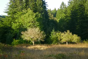 18591 Alsea Hwy, Alsea, OR 97324 - Photo 34