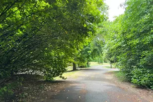 18591 Alsea Hwy, Alsea, OR 97324 - Photo 6