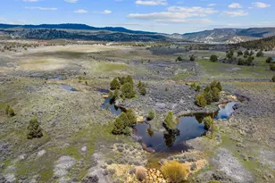 33800 Tackman Rd, Prineville, OR 97754 - Photo 10