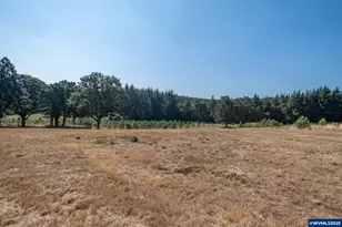 27467 Fern Ridge Rd, Sweet Home, OR 97386 - Photo 38