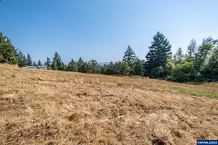 27467 Fern Ridge Rd, Sweet Home, OR 97386 - Photo 44