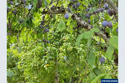 38115 Scravel Hill Rd NE, Albany, OR 97322 - Photo 24