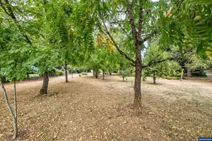 35628 Knox Butte Rd E, Albany, OR 97322 - Photo 28