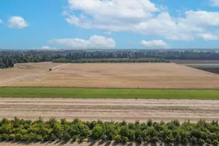 21988 Case (21938-22068) Rd, Aurora, OR 97002 - Photo 8