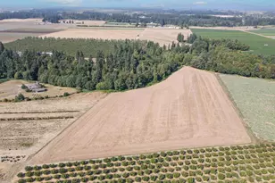 21988 Case (21938-22068) Rd, Aurora, OR 97002 - Photo 6