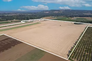 21988 Case (21938-22068) Rd, Aurora, OR 97002 - Photo 4