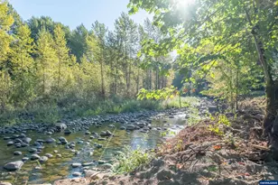 43083 Island Inn Dr, Lebanon, OR 97355 - Photo 38