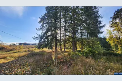 40235 Rainbow Dr, Scio, OR 97374 - Photo 48