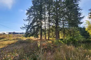 40235 Rainbow Dr, Scio, OR 97374 - Photo 48