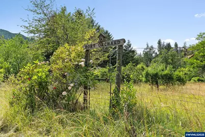 83015 Peninsula Rd, Fall Creek, OR 97438 - Photo 30