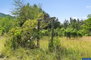 83015 Peninsula Rd, Fall Creek, OR 97438 - Photo 30