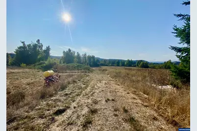 79128 Territorial Hwy, Lorane, OR 97451 - Photo 14