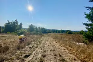 79128 Territorial Hwy, Lorane, OR 97451 - Photo 14