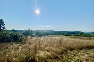 79128 Territorial Hwy, Lorane, OR 97451 - Photo 12