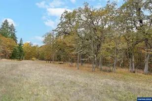 33781 Mt Tom Dr, Harrisburg, OR 97446 - Photo 46