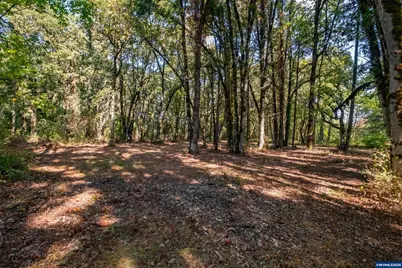 Pp2020-49 Lot#2 N. Of Osprey Ct. Rd, Albany, OR 97321 - Photo 16