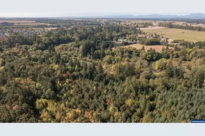 Pp2020-49 Lot#2 N. Of Osprey Ct. Rd, Albany, OR 97321 - Photo 34