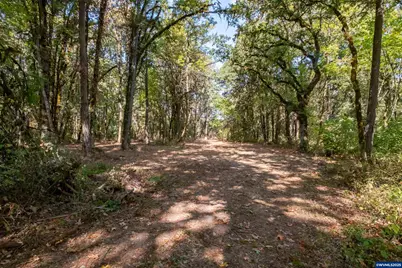 Pp2020-49 Lot#2 N. Of Osprey Ct. Rd, Albany, OR 97321 - Photo 22
