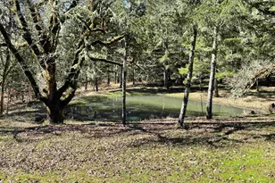 3440 NW Covey Run Rd, Corvallis, OR 97330 - Photo 44