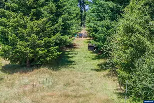 3805 Briar Knob Lp NE, Scotts Mills, OR 97375 - Photo 44