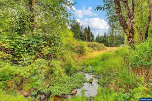 0 Address Undisclosed NE, Scotts Mills, OR 97375 - Photo 34