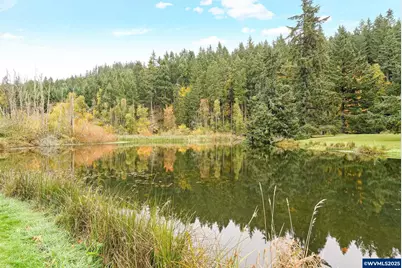 4300 Briar Knob Lp NE, Scotts Mills, OR 97375 - Photo 6