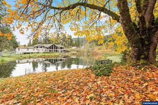 4300 Briar Knob Lp NE, Scotts Mills, OR 97375 - Photo 4