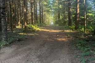 15550 SE Tickle Creek Rd, Boring, OR 97009 - Photo 48