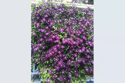 33125 SE White Oak (#20) Rd, Corvallis, OR 97333 - Photo 42