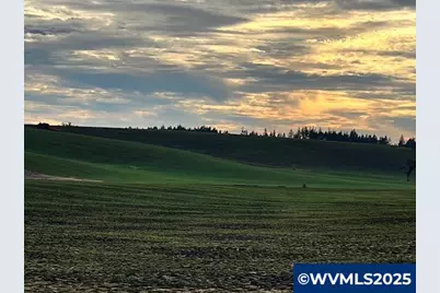 39986 Gisler Rd, Scio, OR 97374 - Photo 42