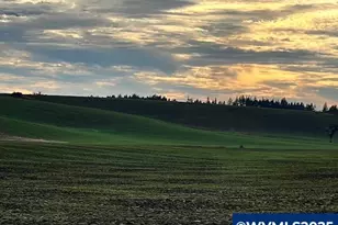 39986 Gisler Rd, Scio, OR 97374 - Photo 42