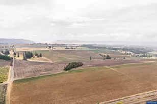 39986 Gisler Rd, Scio, OR 97374 - Photo 4