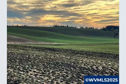 39986 Gisler Rd, Scio, OR 97374 - Photo 8