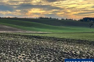 39986 Gisler Rd, Scio, OR 97374 - Photo 8