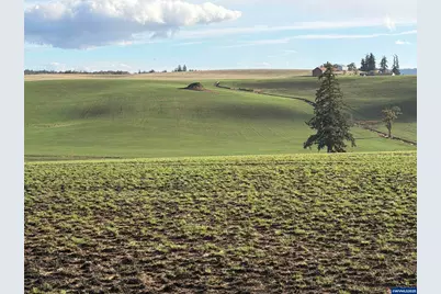 39986 Gisler Rd, Scio, OR 97374 - Photo 40